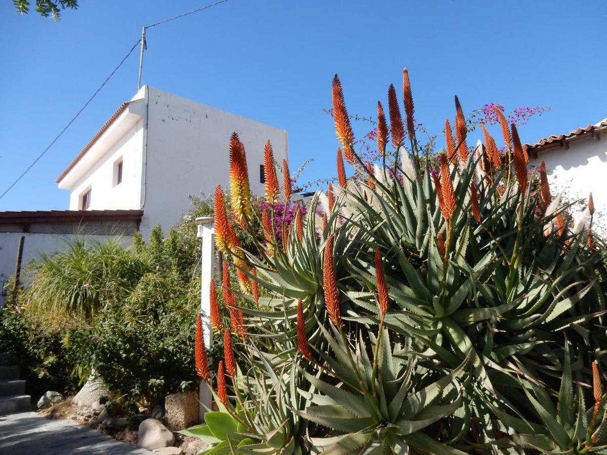 Finca Florida San Miguel de Abona Eksteriør billede